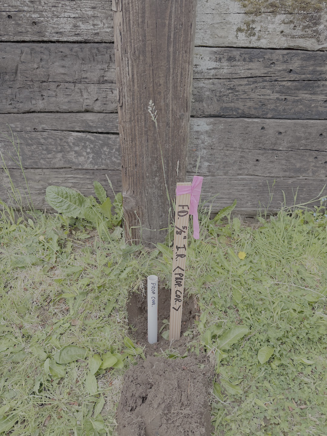 field photo