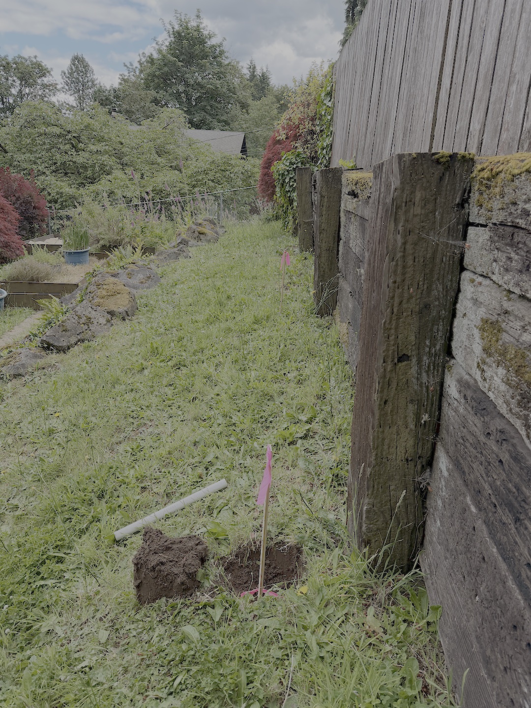 field photo